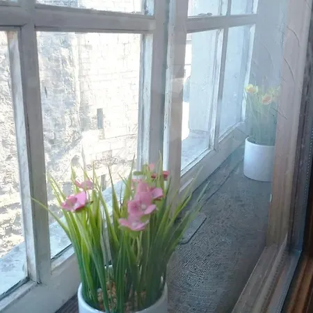 Logment Saint Denis Daire